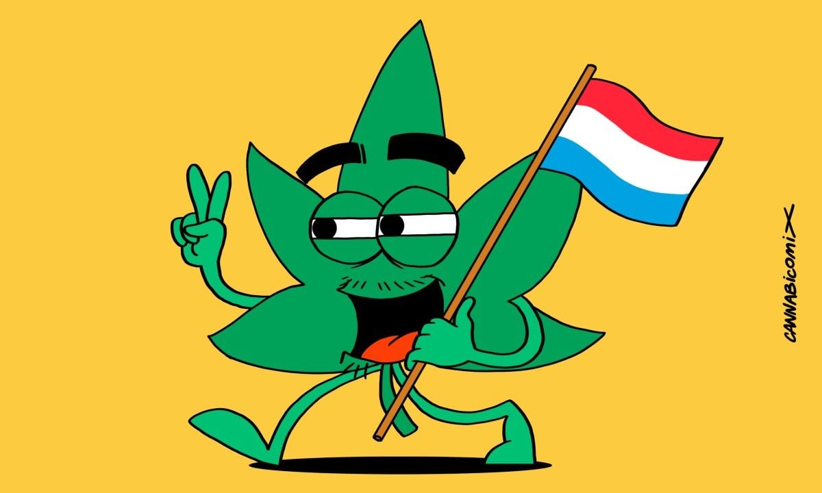 hempadao_maconha_luxemburgo-1200x720.jpg?profile=RESIZE_710x