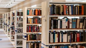 Por que a biblioteca tem suscitado tamanho desamparo e desinteresse?