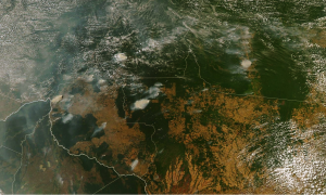 Fumaça de queimadas na Amazônia chega ao Peru