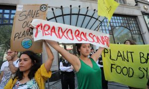 Fogo na Amazônia: Embaixadas brasileiras são alvo de protestos pelo mundo
