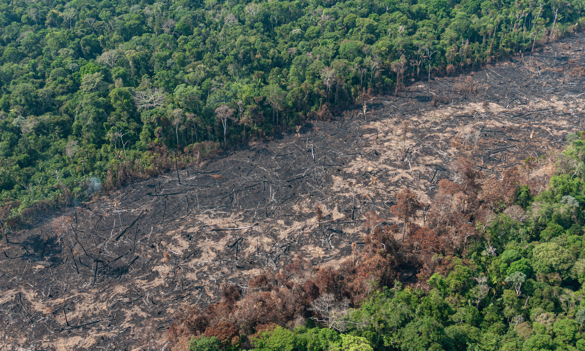 Operação do Ibama combate focos de incêndio na Amazônia. (Foto: Vinícius Mendonça/Ibama) 