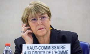 Comissária da ONU para Direitos Humanos alerta para ameaças a ambientalistas no Brasil e pede transparência nas eleições
