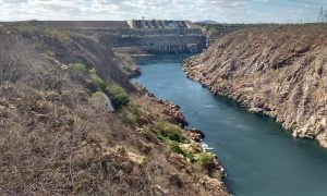 Notícia de que crise climática não chegou no semiárido é fake news