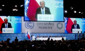 ONU veta Brasil de discursar na cúpula do clima em Nova York