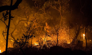 Incêndio na Chapada dos Veadeiros ameaça território quilombola