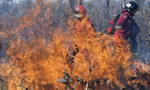 França envia equipe para combater queimadas na Amazônia boliviana