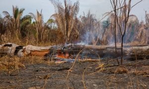 Mortes, garimpo e grilagem assolam assentamento mais incendiado do Pará