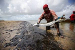 Óleo pode restringir trabalho de 144 mil pescadores e marisqueiras no nordeste. Na Bahia, mais de 13 mil foram afetados