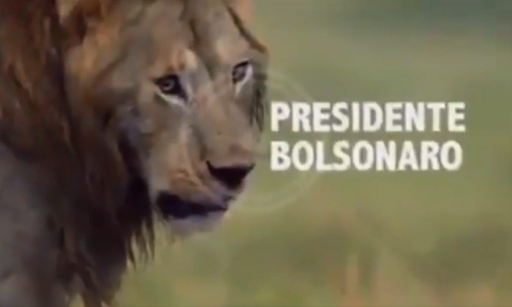 Bolsonaro se compara a ‘leão’ e nomeia PSL, MBL e STF como inimigos em vídeo