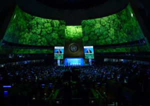 Não aposte na ONU para resolver a mudança climática