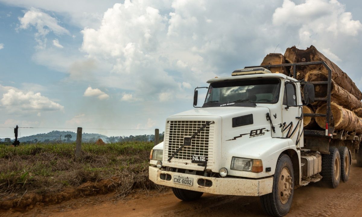 Caminhão com madeira ilegal (Foto: Fernando Martinho/Repórter Brasil)