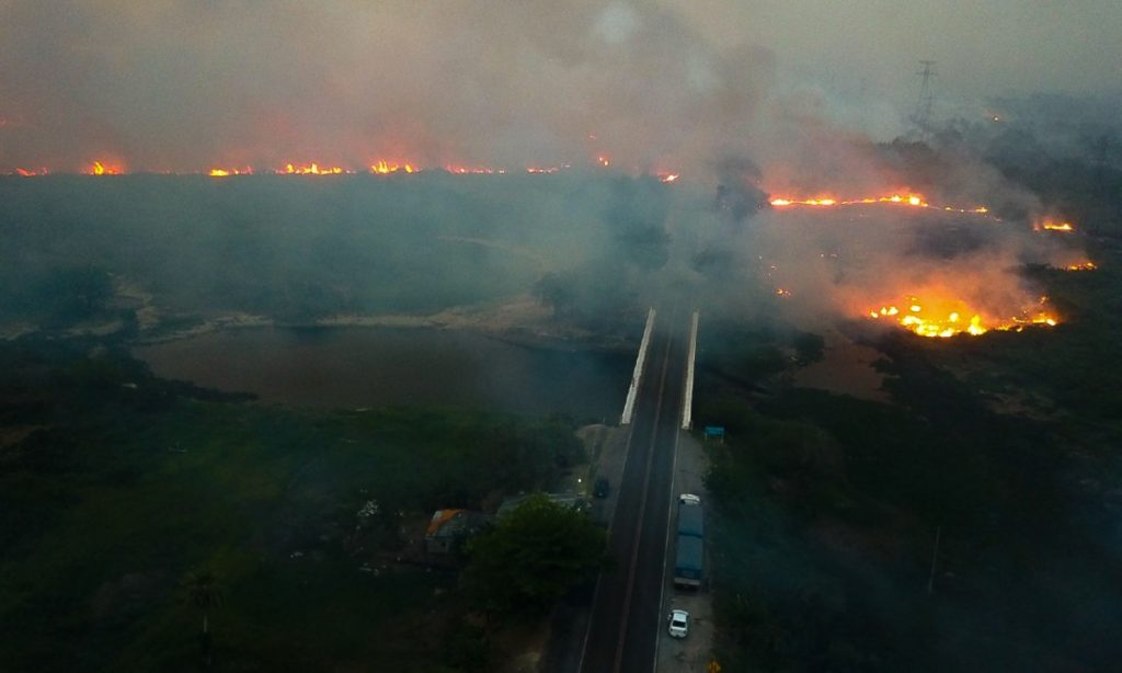 Incêndios de grandes proporções destroem parte do Pantanal