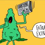 De saúde ao mundo dos negócios, a maconha é uma fábrica de notícias