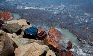 Demora na limpeza de petróleo no mar faz sujeira se multiplicar por 10