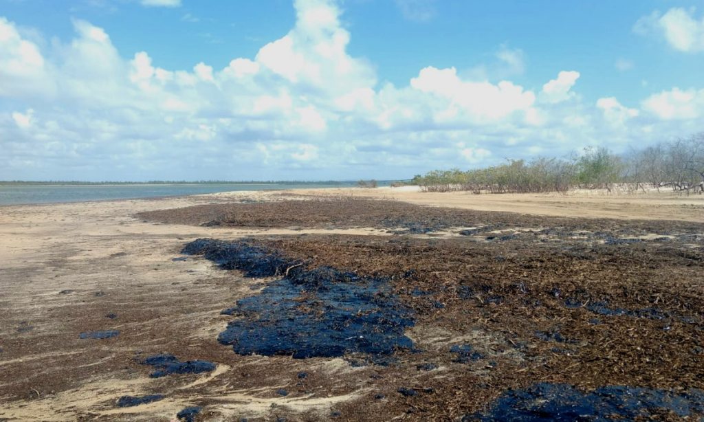 Mídia silencia povos do mar na cobertura de vazamento no Nordeste