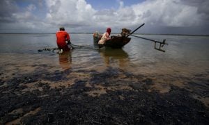 Ministério da Agricultura proíbe pesca em regiões afetadas pelo petróleo