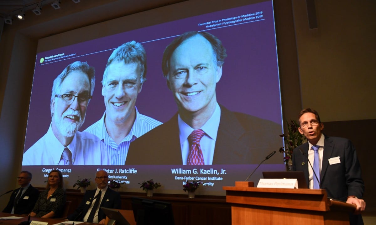 No telão, William Kaelin e Gregg Semenza, dos EUA, e Peter Ratcliffe, da Grã-Bretanha, os vencedores do Nobel de Medicina 2019 (Foto: Jonathan NACKSTRAND / AFP) 