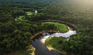 Alemanha sinaliza desbloqueio de repasses ao Fundo Amazônia