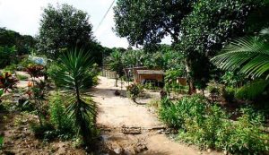 Trabalhador rural é assassinado a machadadas no Quilombo Rio dos Macacos, na Bahia