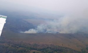 Pantanal registra mais de 3500 focos de incêndio, recorde em 21 anos