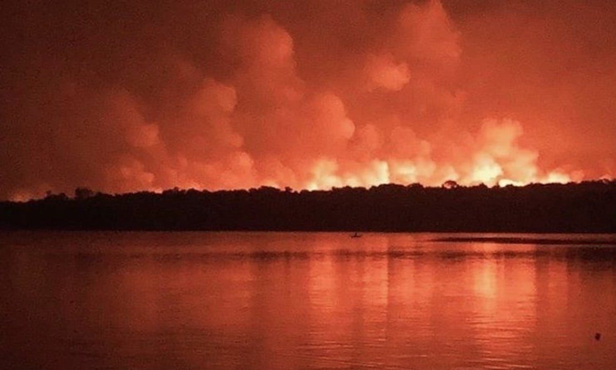 O incêndio em Alter do Chão queimou área equivalente a 1.600 campos de futebol em setembro (Foto: Eugenio Scanavino) 