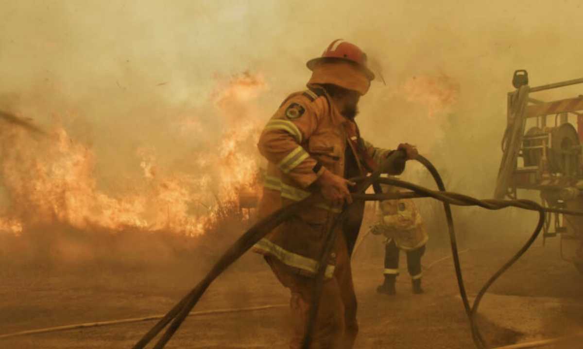 Incêndios na Austrália e na Amazônia mobilizam multidões online