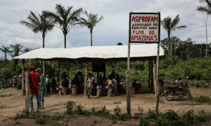 Amazônia: centenas de famílias podem ser despejadas em 2020