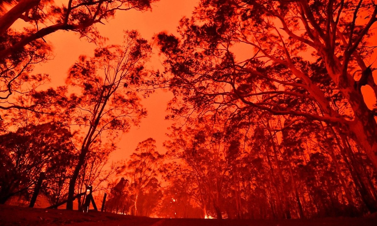 Incêndio nas florestas australianas colorem o céu de vermelho (Foto: SAEED KHAN/AFP)