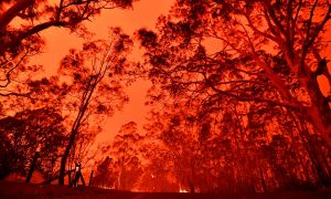 Nuvem de fumaça das queimadas na Austrália é vista até na Nova Zelândia