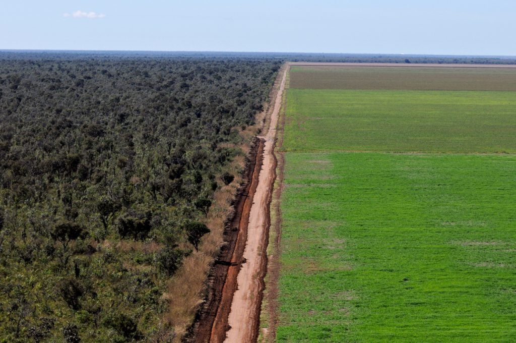 Produtores de soja criticam bloqueio a produtos de áreas desmatadas: ‘Brasil não é mais colônia’