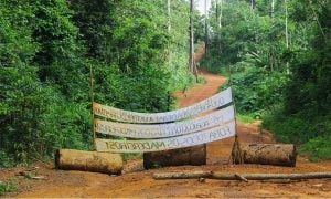 O movimento global de justiça ambiental e o EJAtlas