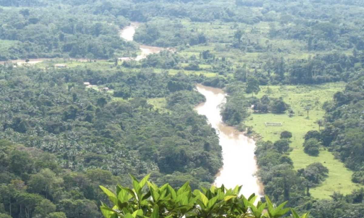 Como lei antidesmatamento da UE pode afetar o Brasil