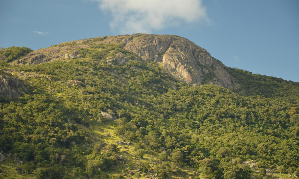 STF abre importante precedente para resistência à mineração