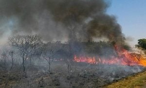 Com queimadas na Amazônia, Brasil vai contra o mundo na diminuição de gases estufa na pandemia