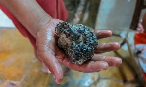 Nosso sangue nunca foi amarelo – o drama das crianças contaminadas por chumbo em Cuba