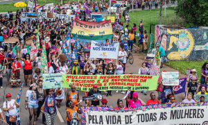 Livro explica como cruzada antigênero enfraquece democracias no Brasil