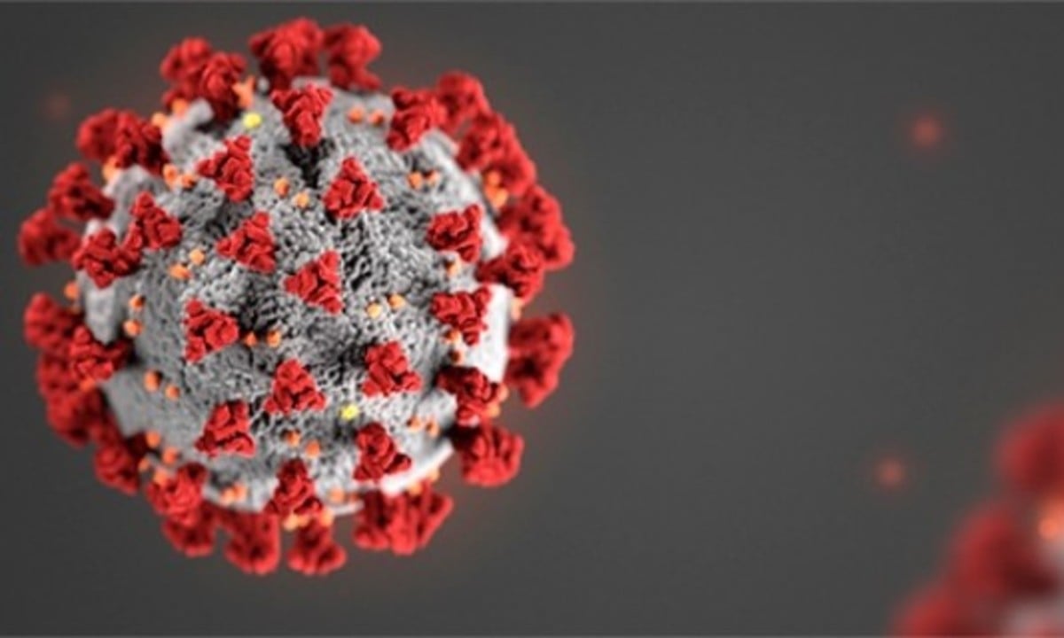 Imagem microscópica do SARS-CoV-2, o novo coronavírus - Foto: CDC 