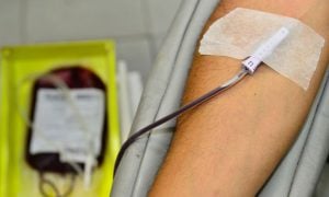 STF retoma julgamento sobre doação de sangue por homossexuais