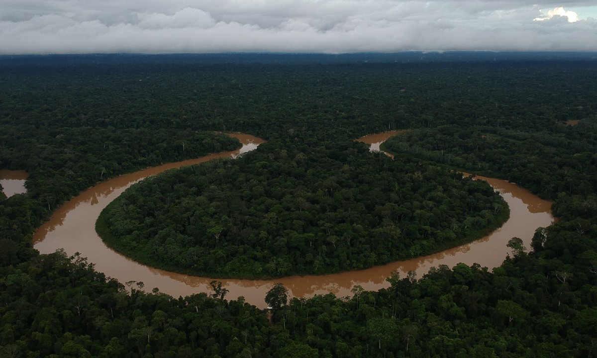 Irlanda anuncia sua primeira doação ao Fundo Amazônia, de R$ 91 milhões