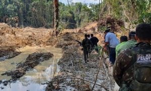 Ibama demite dois coordenadores ligados à repressão de crimes ambientais