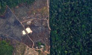 Maioria concorda que Brasil deve aumentar áreas de preservação ambiental, diz pesquisa