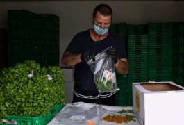 CartaCapital - Jornalismo crítico e transparente. Notícias 