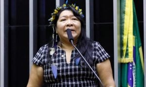 Terras indígenas são estratégicas contra mudanças climáticas, defende deputada Joenia Wapichana