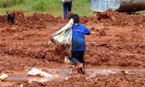 “Pandemia pode levar a retrocessos no enfrentamento ao trabalho infantil”
