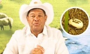 Justiça manda Saúde se manifestar sobre ‘feijões mágicos’ de Valdemiro Santiago
