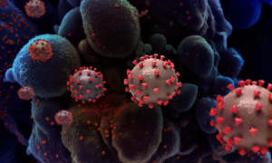 ‘Os coronavírus sofrem mutações o tempo todo’, diz pesquisador