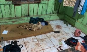Sem máscaras e endividados: 24 indígenas guarani são resgatados de trabalho escravo em fazenda do MS