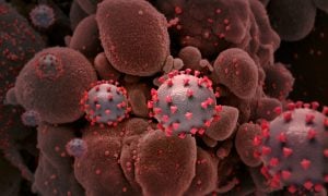 Brasil confirma 1º caso de reinfecção por coronavírus