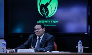 Brasil desmata 1.600 km2 na Amazônia em julho e Mourão comemora resultado