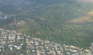 Batalha na Justiça tenta impedir que novo autódromo do Rio vire crime ambiental